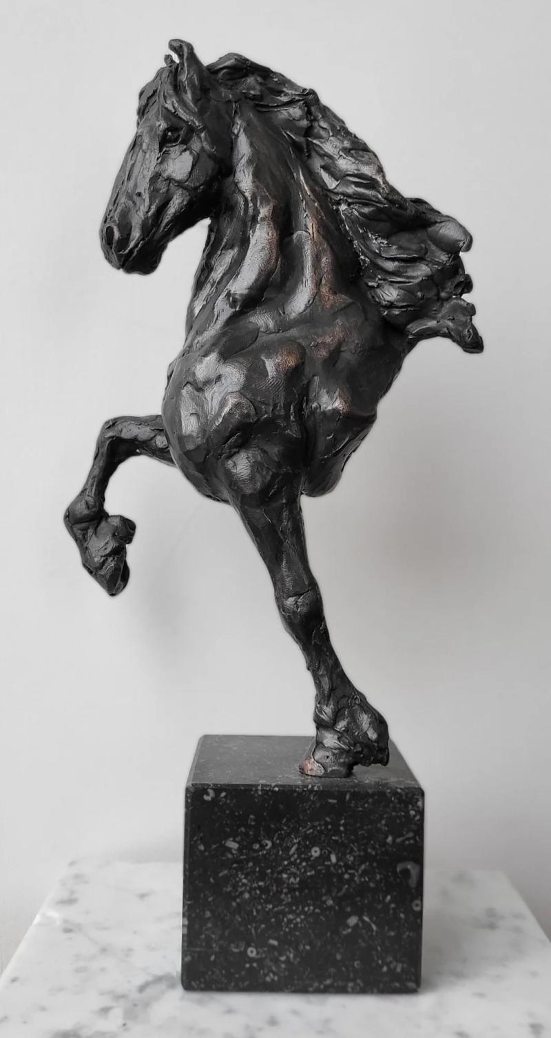Friesian Stallion, Annuska 't Hart