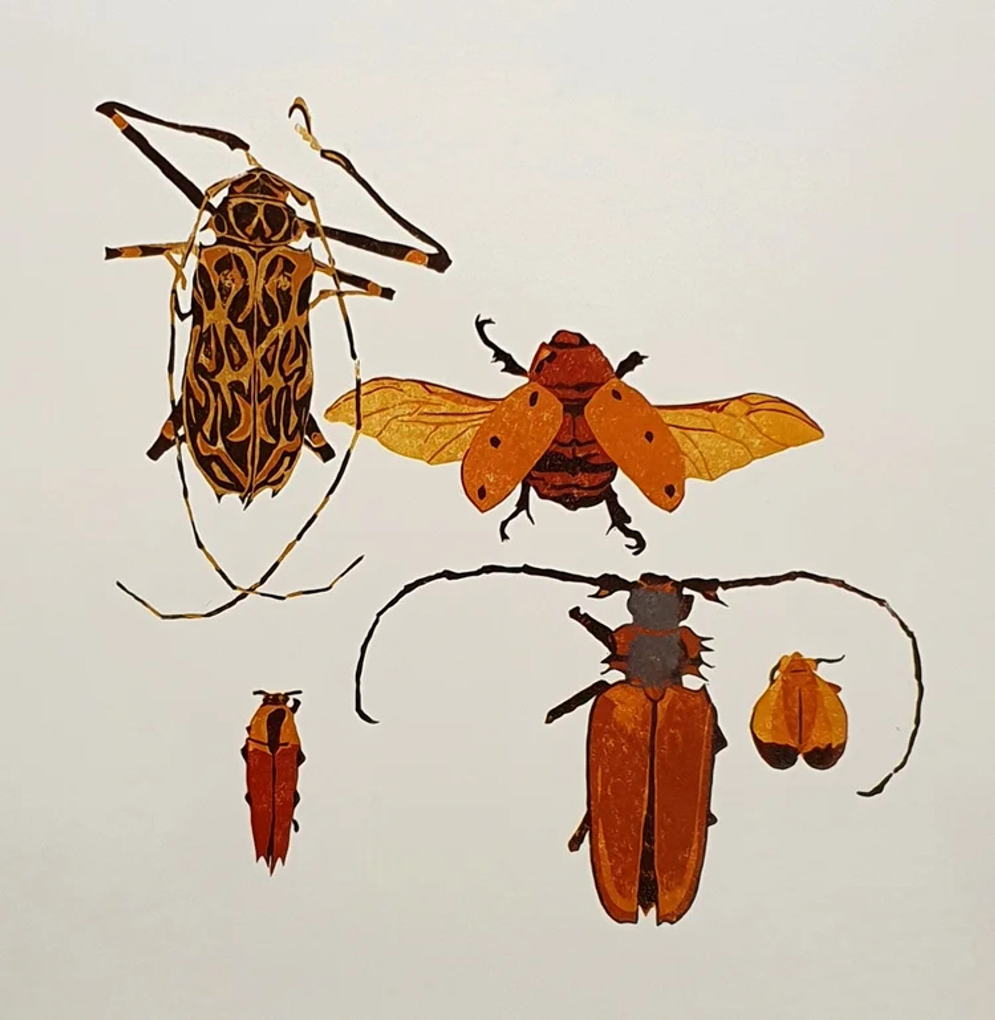 Biodiversity I
