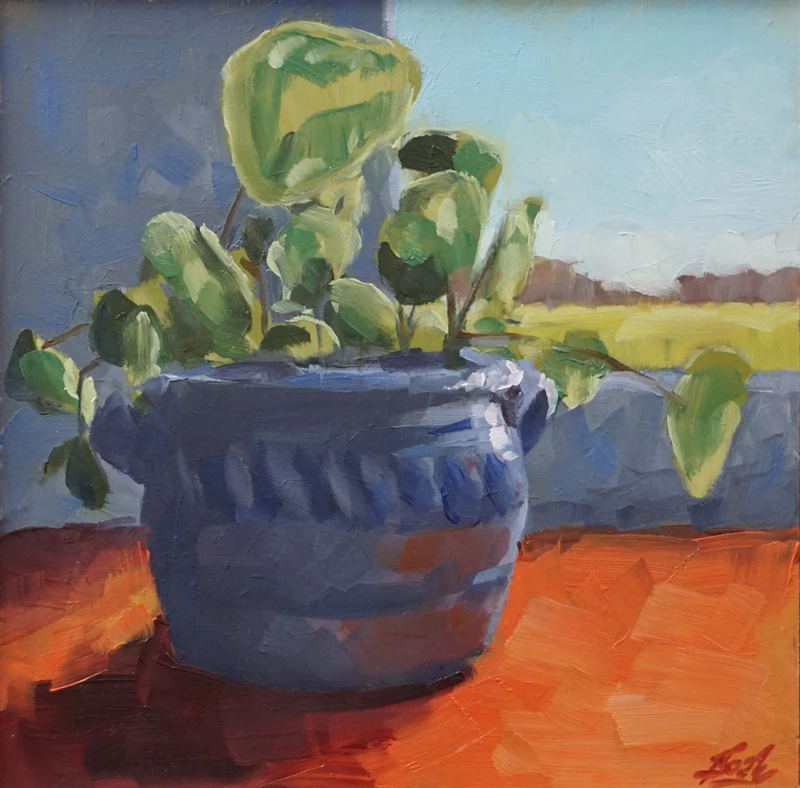 Plant in pot, Noah Remmelts