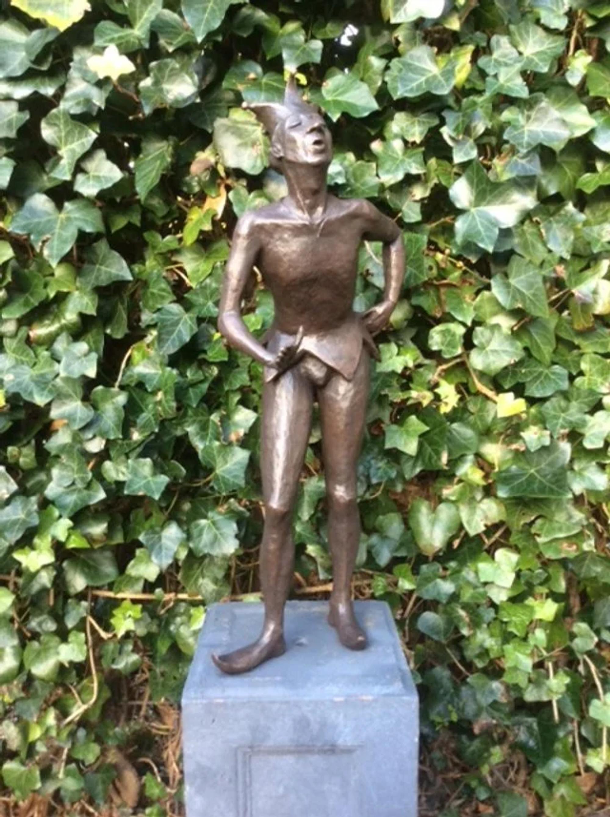Fool, detail