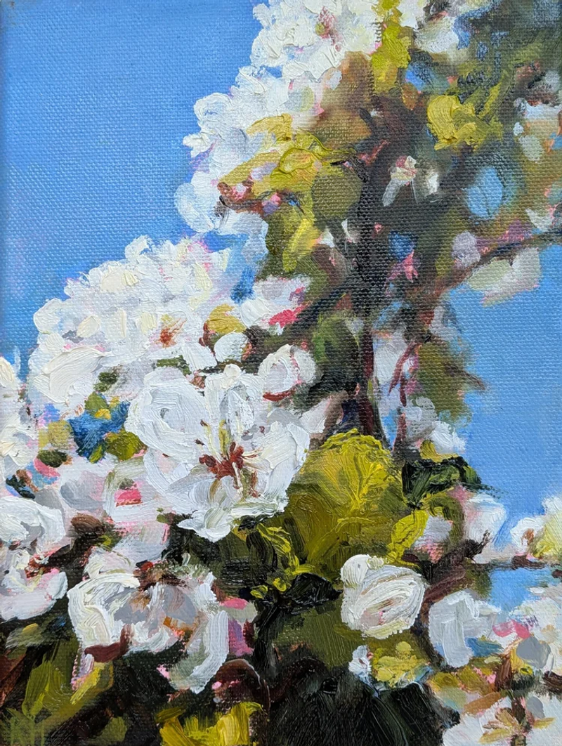 Bloesem, Karien Hillebrands