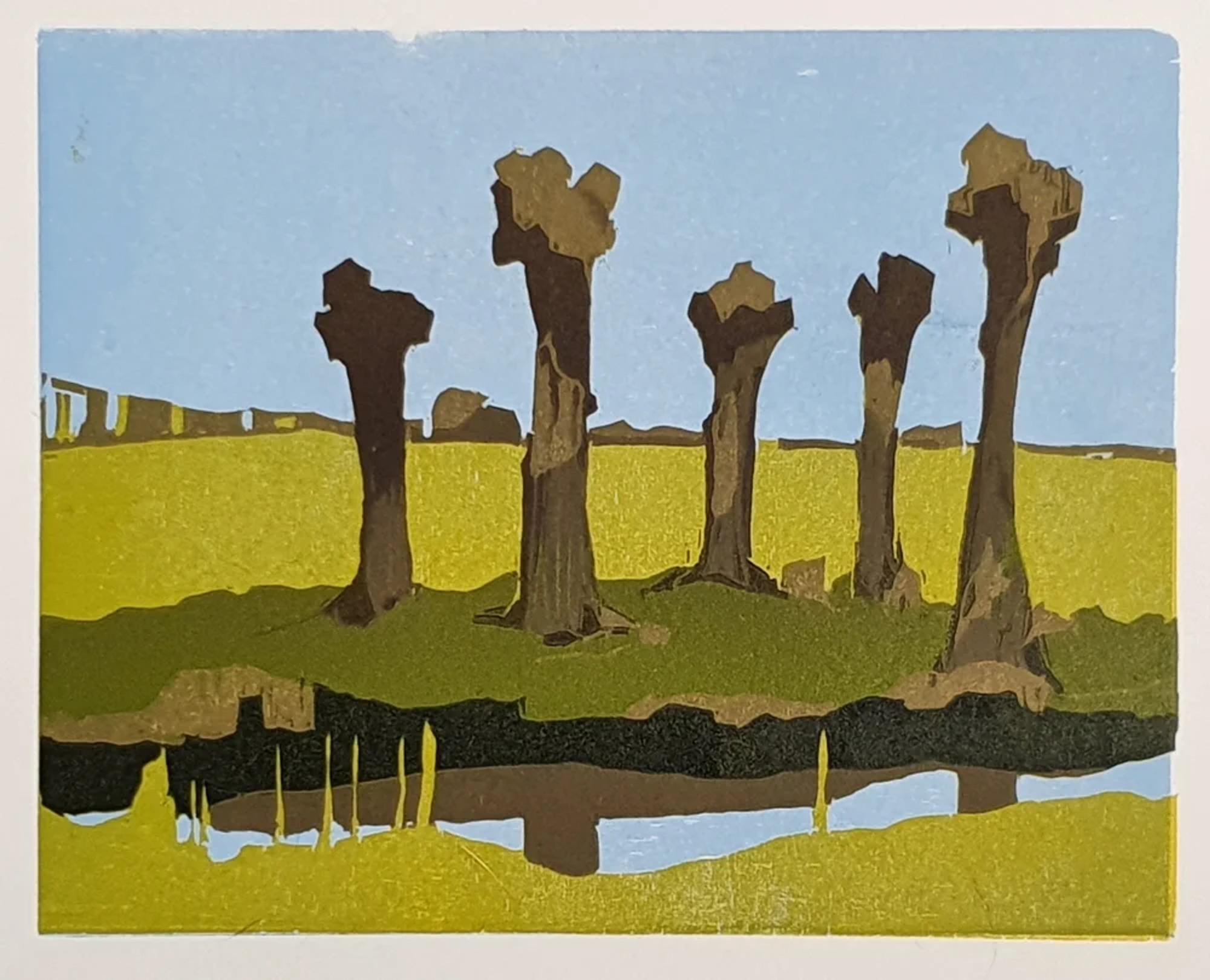 Dutchscape mini – Polders