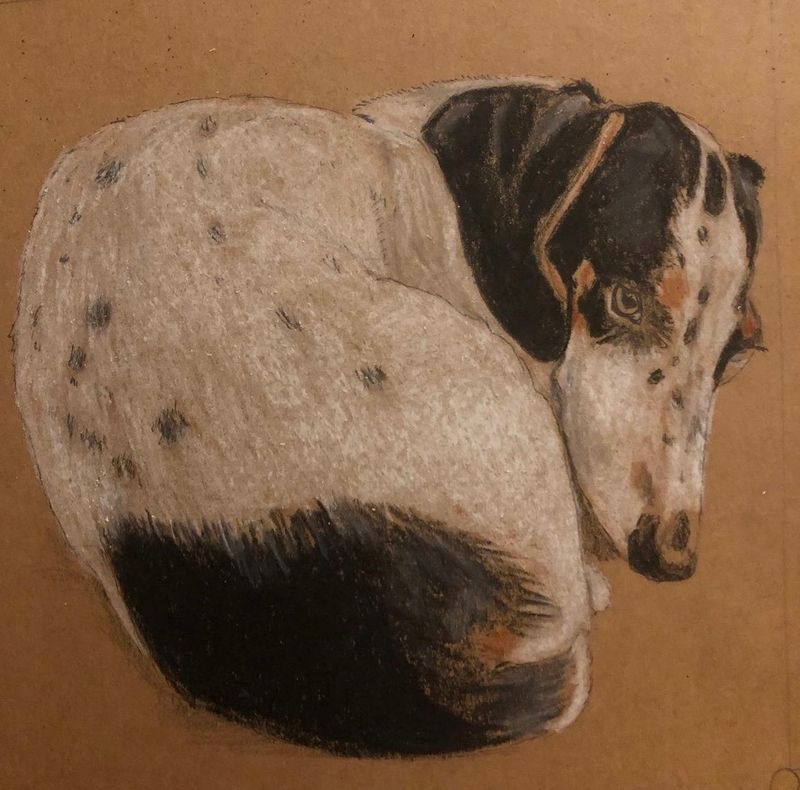 Frankie (potlood), Charlot van der Hoeven