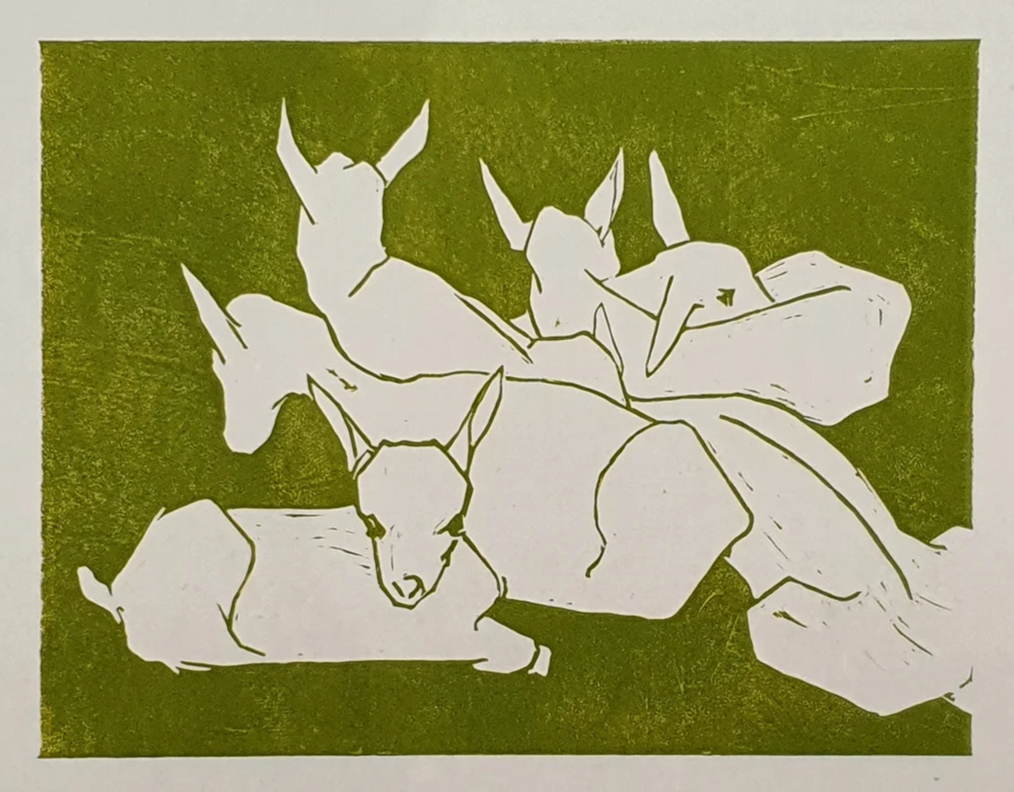 Geitenlammeren – in groen