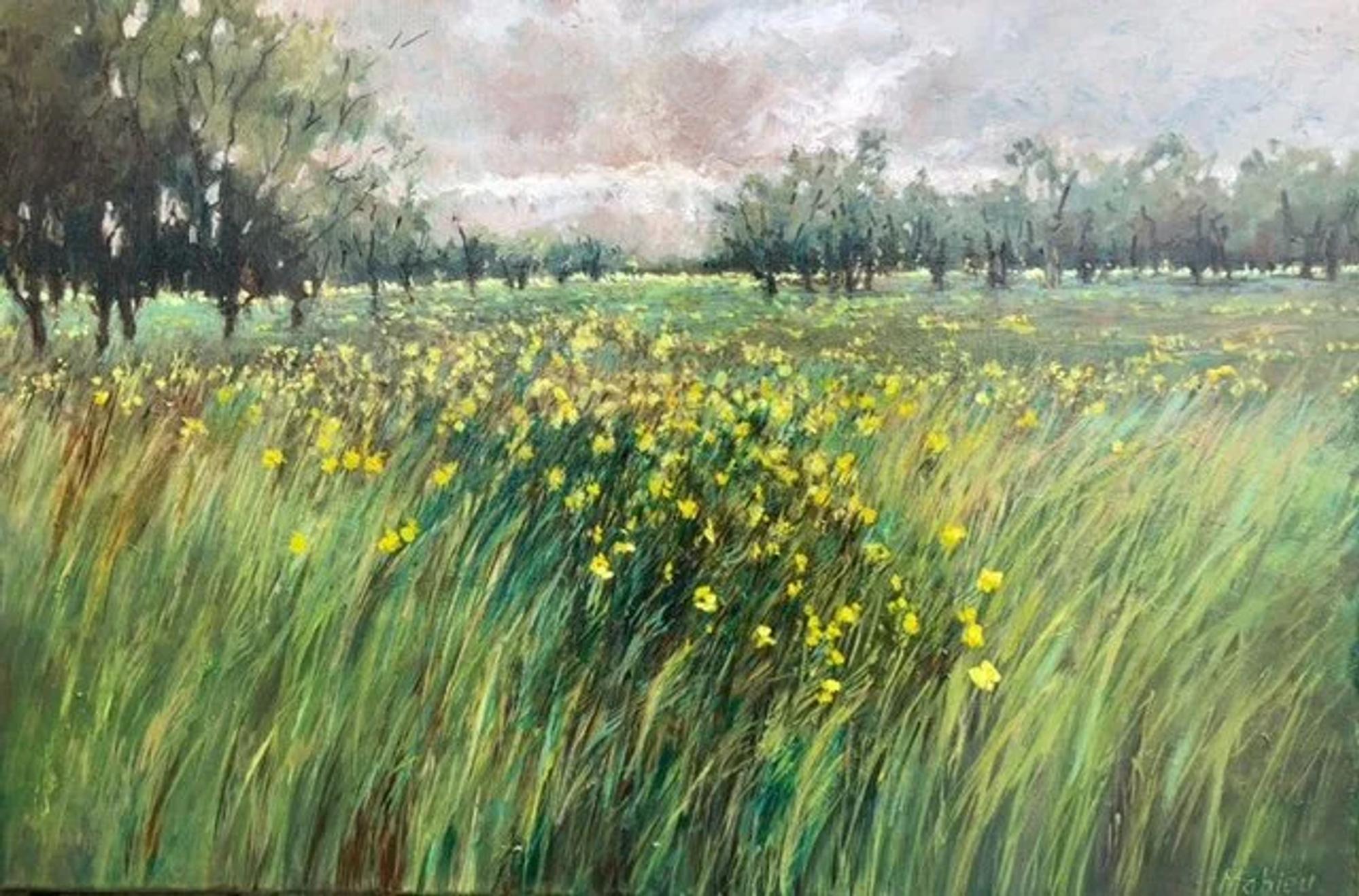 Veld gele bloemen