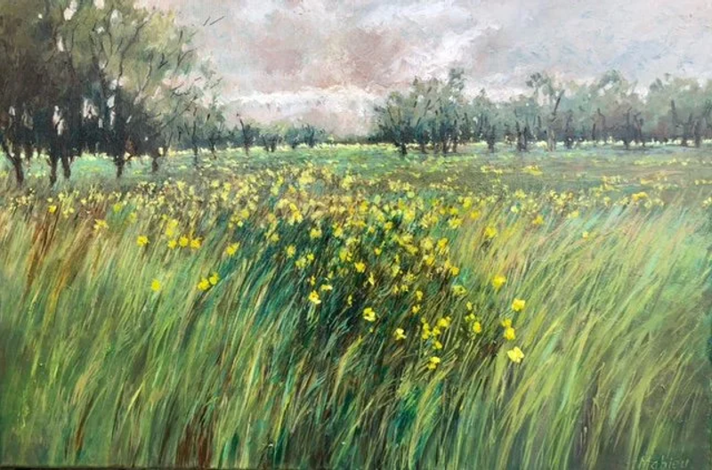 Veld gele bloemen, Ineke Mahieu