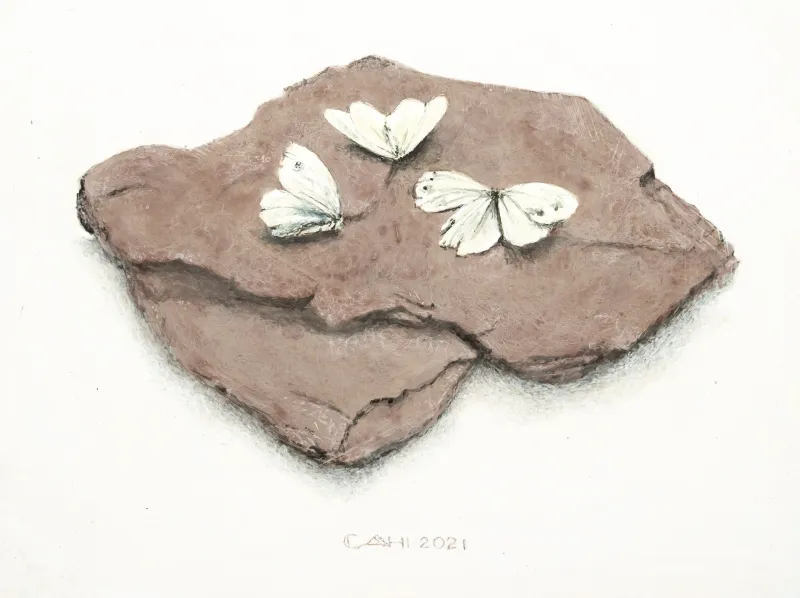 Drie vlinders, Chris Herenius