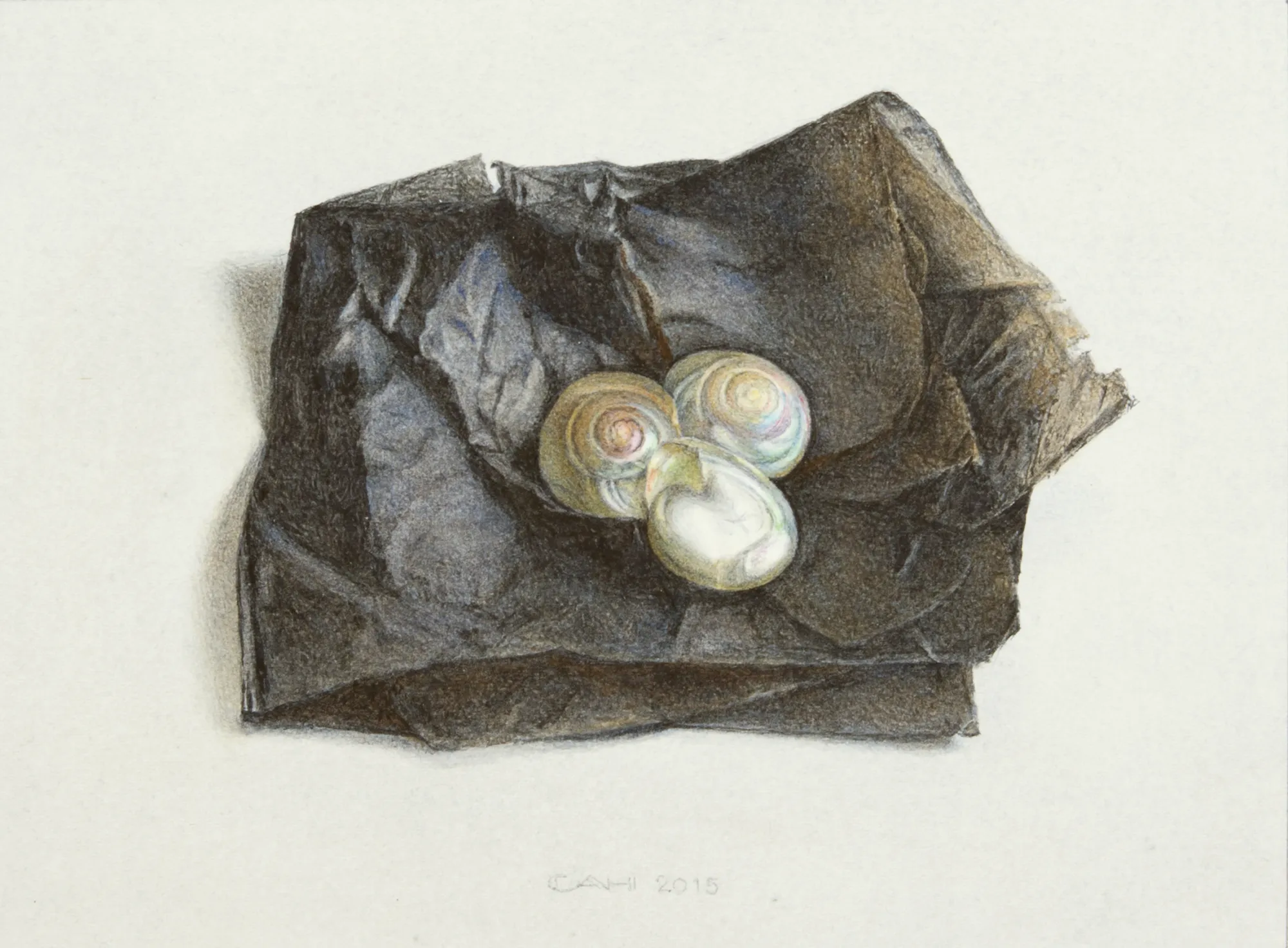 Drie schelpen op verkleurd papier