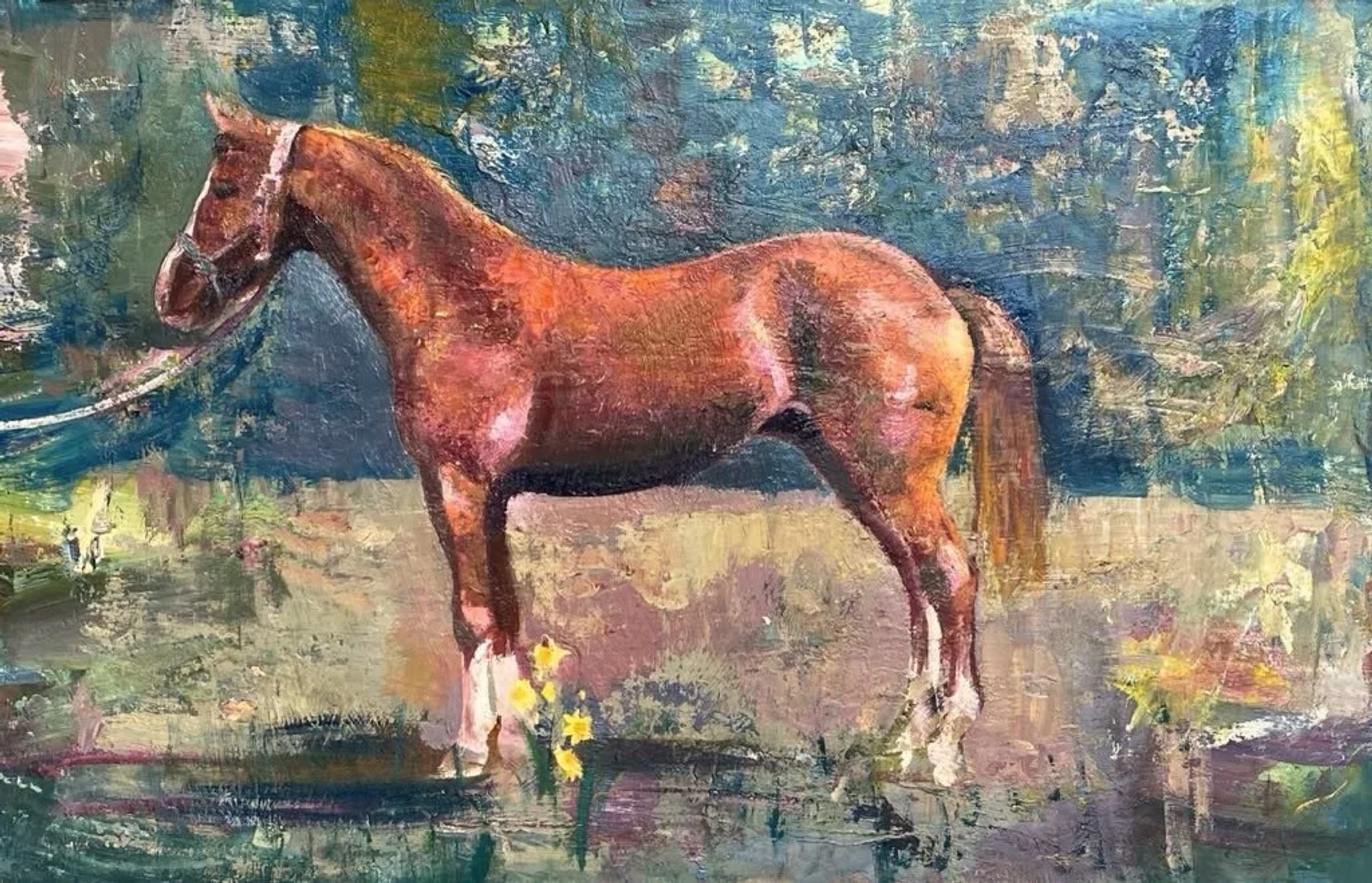 Paard