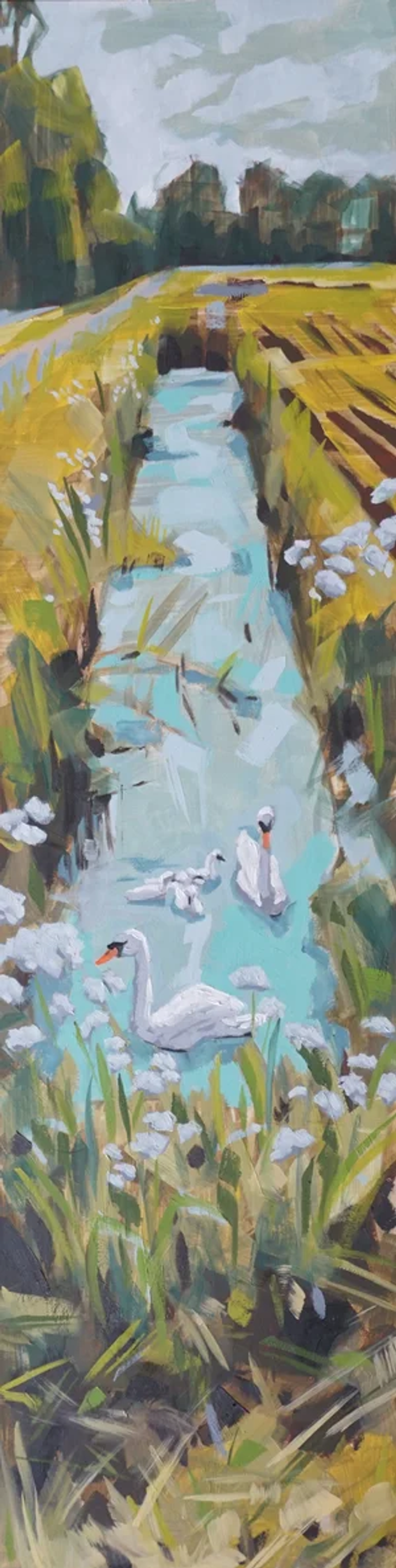 Zwanen, Noah Remmelts