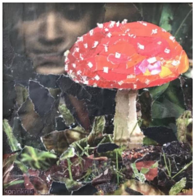 Agaric Mystique, Maartje Bezemer