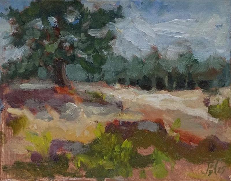 Zuiderheide 2, Joland van der Helm