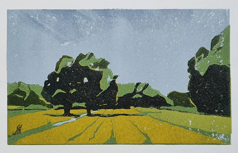 Dutchscape mini – Fields, Laura Blömer