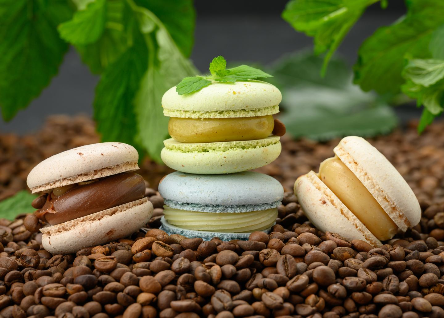 macaroons
