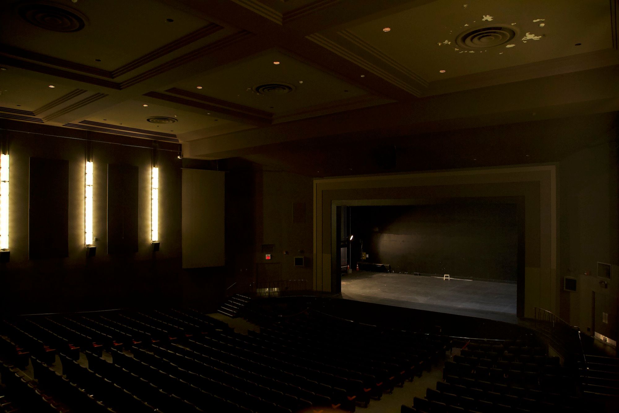 The Chrysalis stage
