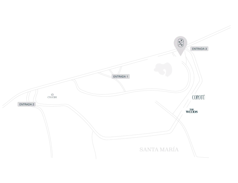 Guayacán