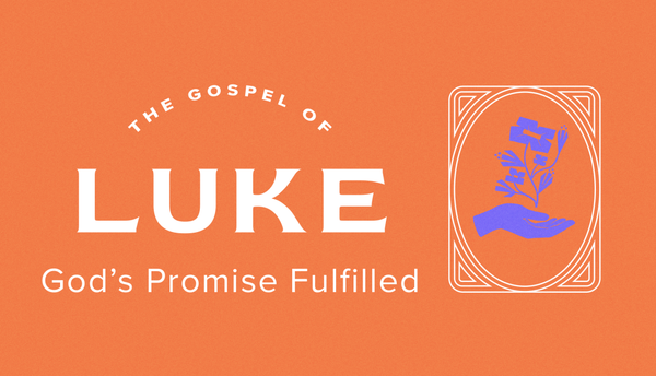 Luke: God's Promise Fulfilled series artwork