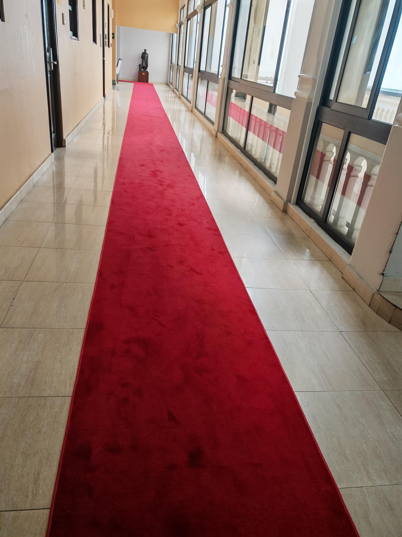 Cambio de alfombras de alto tráfico - Después 2