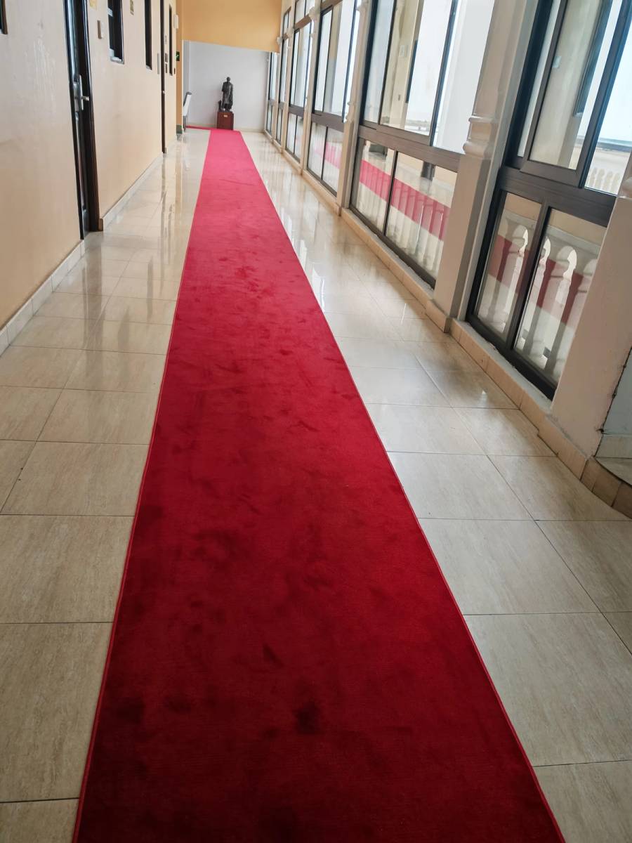 Cambio de alfombras de alto tráfico - Después 2