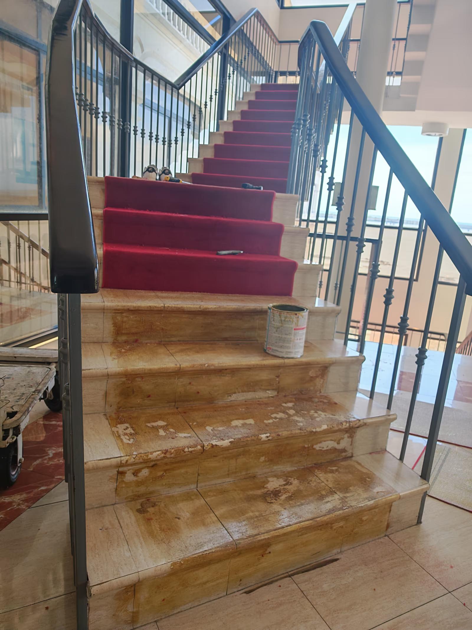 Cambio de alfombras de alto tráfico - Antes 14