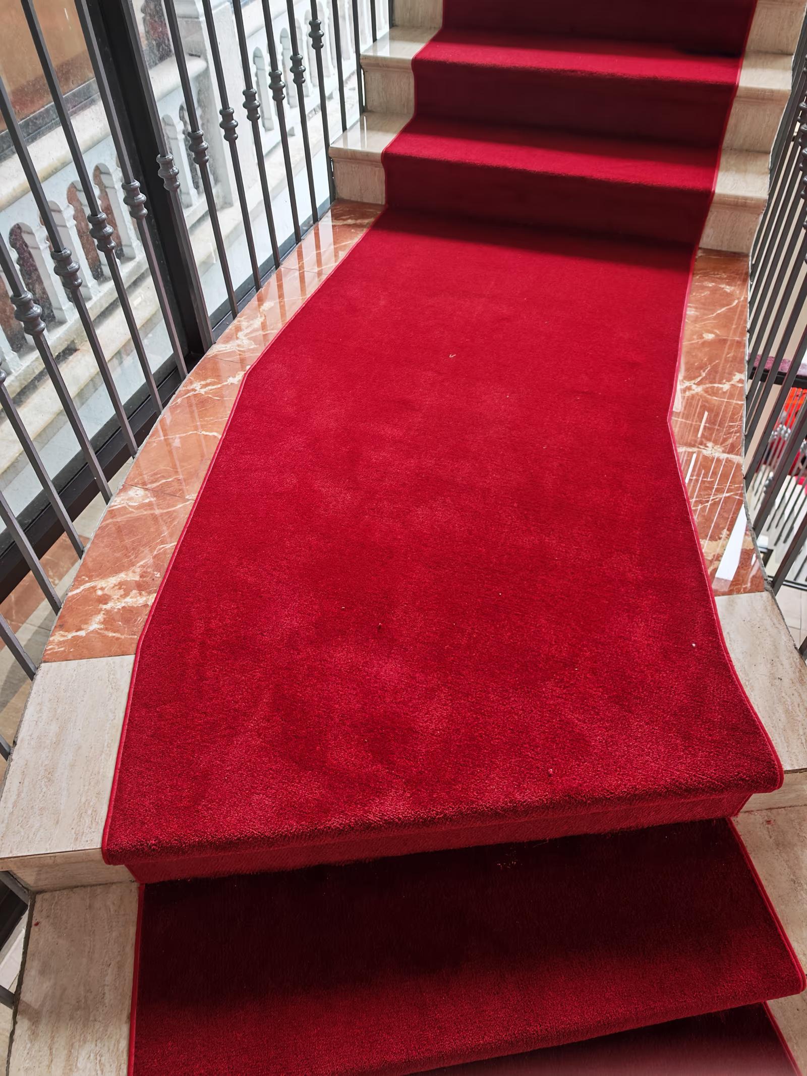 Cambio de alfombras de alto tráfico - Después 8