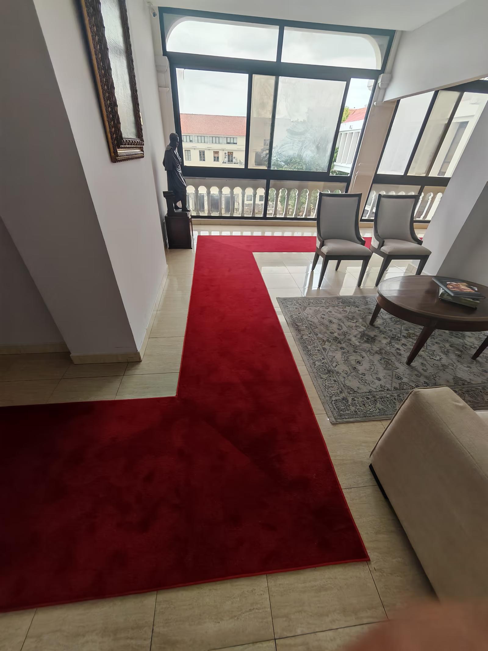 Cambio de alfombras de alto tráfico - Después 3