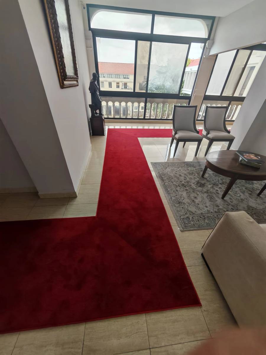 Cambio de alfombras de alto tráfico - Después 3