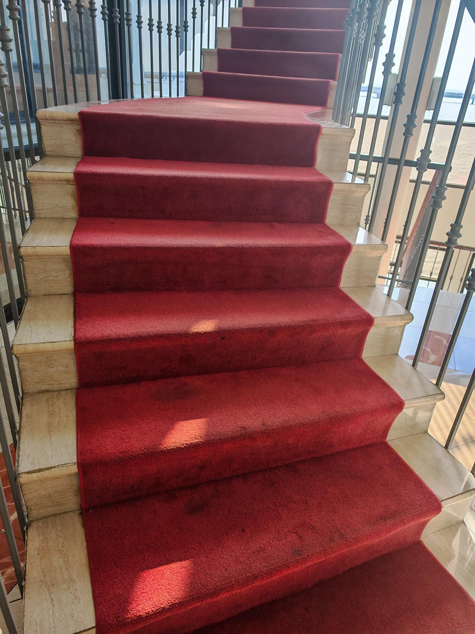 Cambio de alfombras de alto tráfico - Antes 6