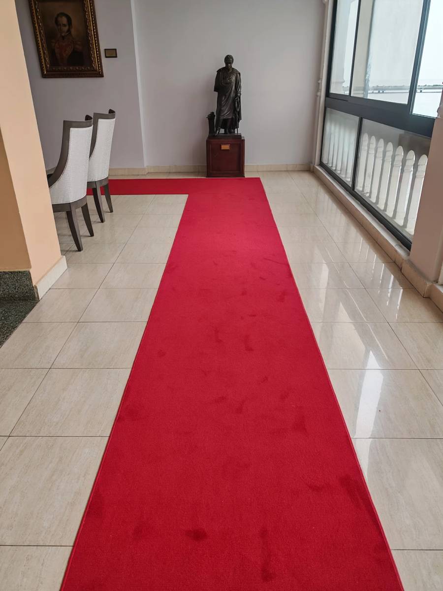 Cambio de alfombras de alto tráfico - Después 1