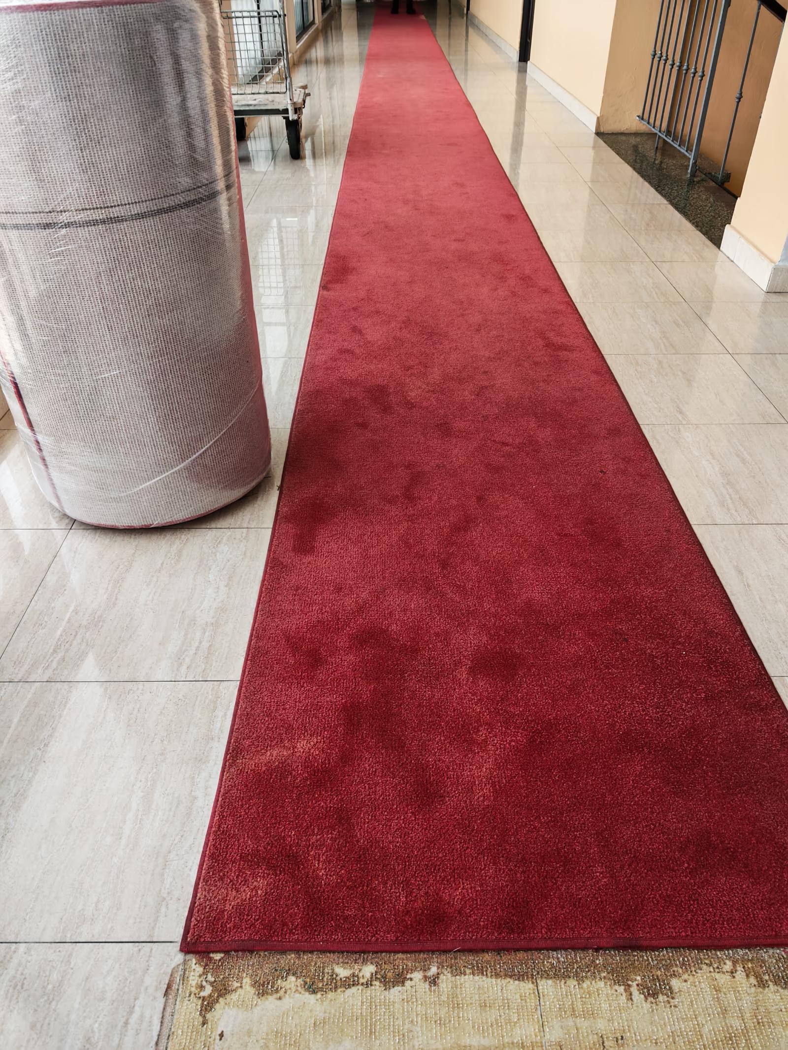 Cambio de alfombras de alto tráfico - Antes 2