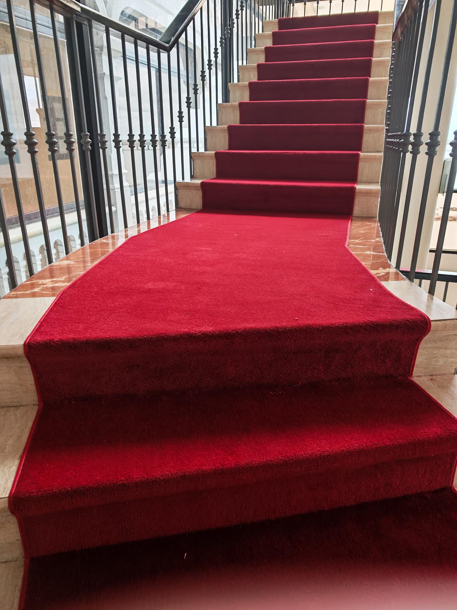 Cambio de alfombras de alto tráfico - Después 7