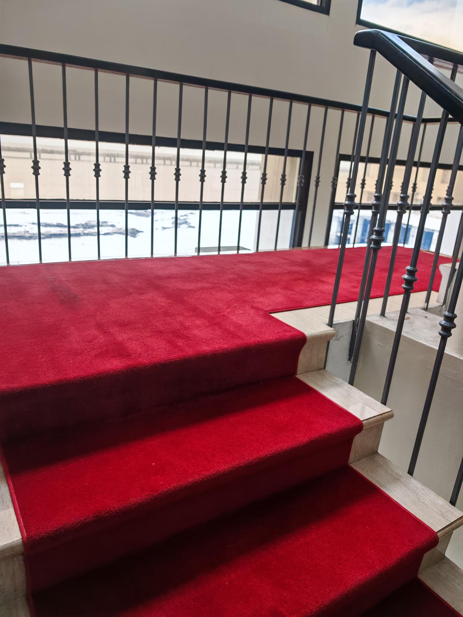 Cambio de alfombras de alto tráfico - Después 9