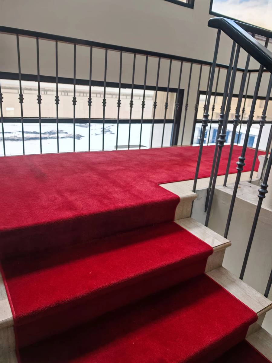 Cambio de alfombras de alto tráfico - Después 9