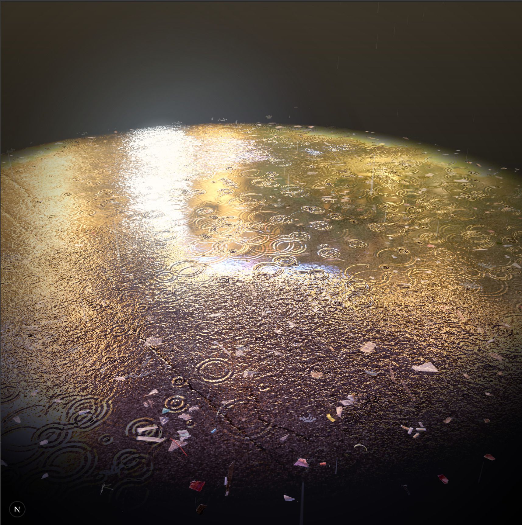 Rain Puddle
