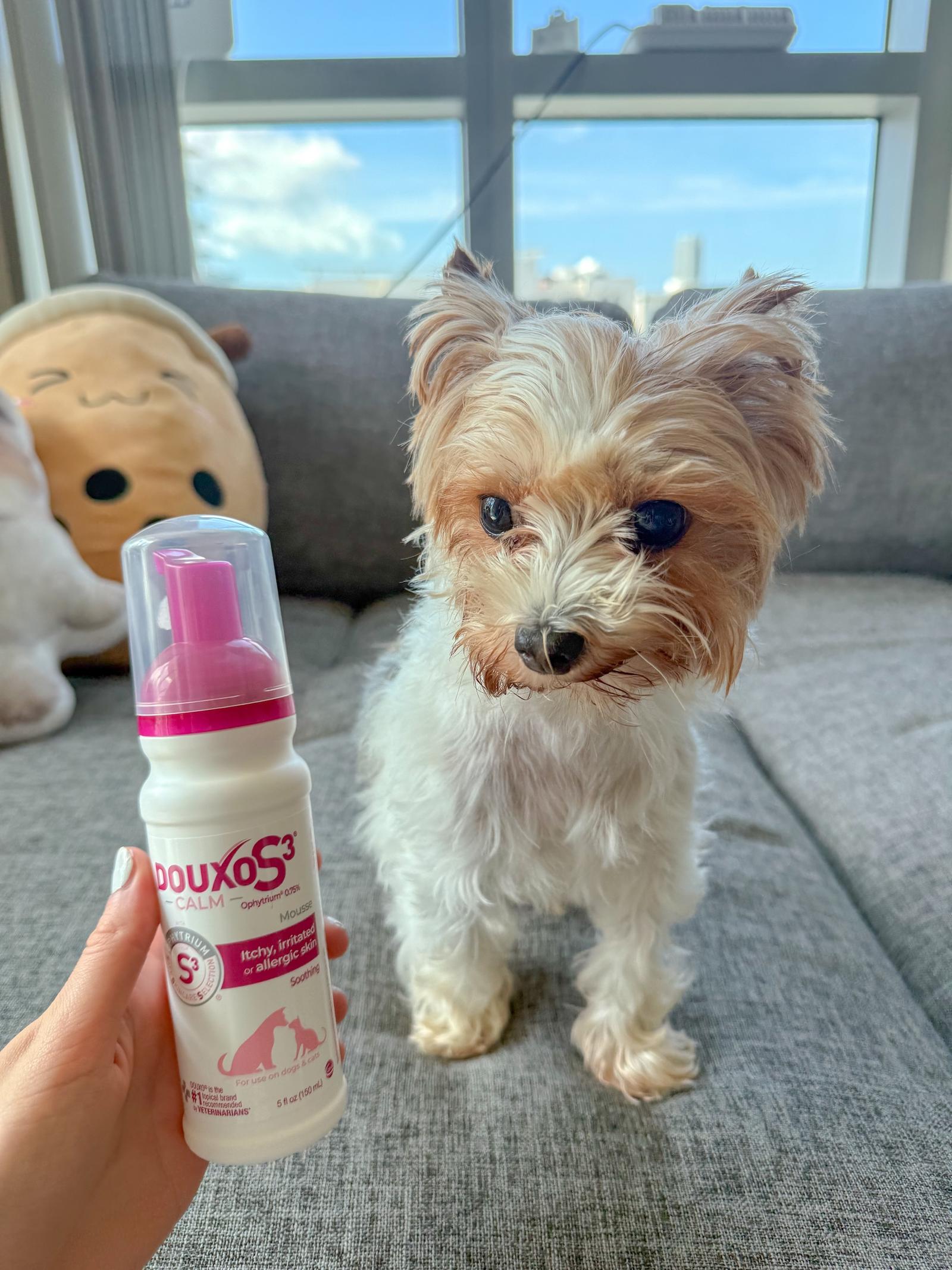 Photograph of dog with Douxo product