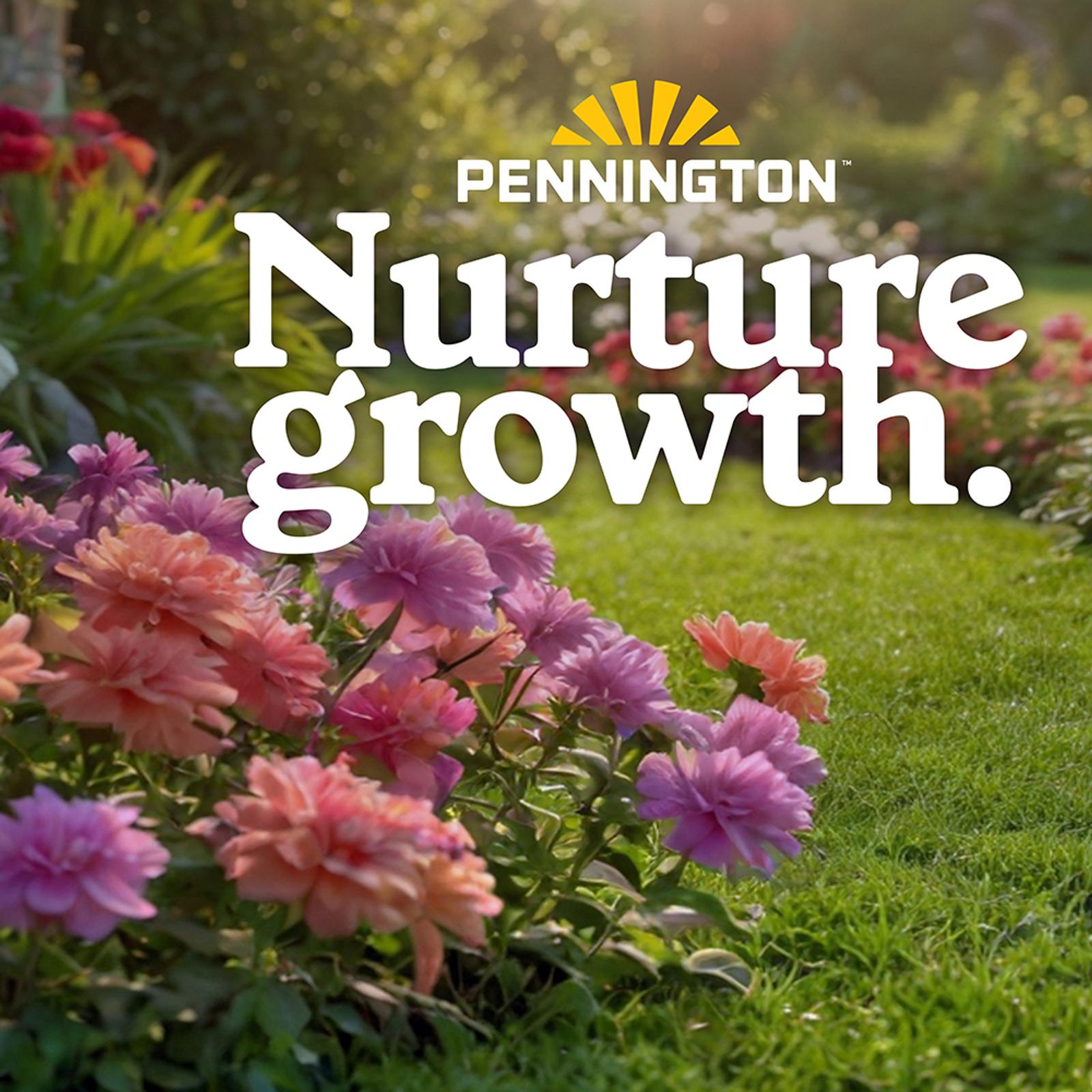 Where Lawns and Gardens Come to Life