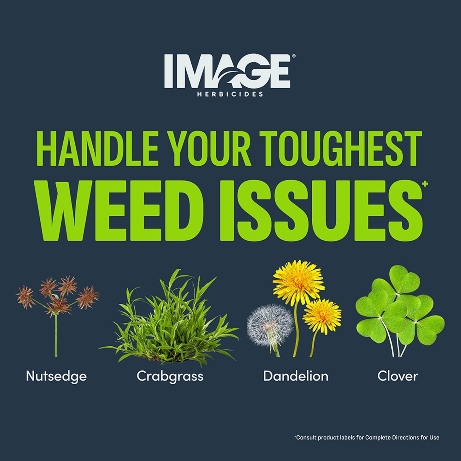 Join Us in Winning the War on Weeds!