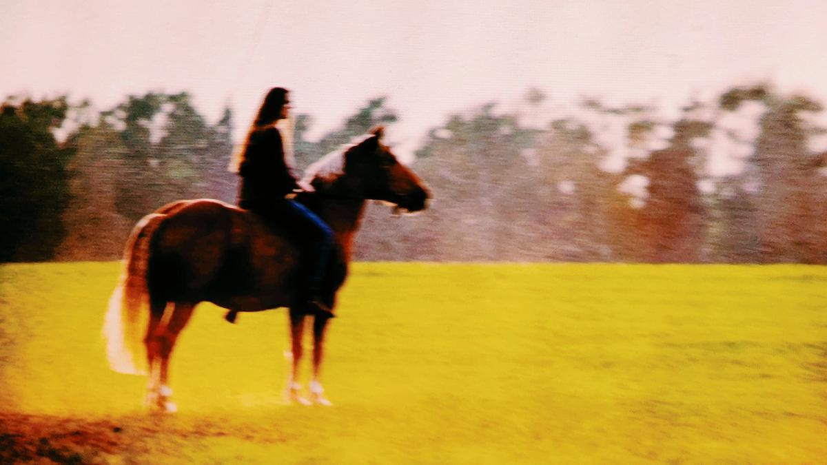 Cover detail of The House at World's End by Monica Dickens