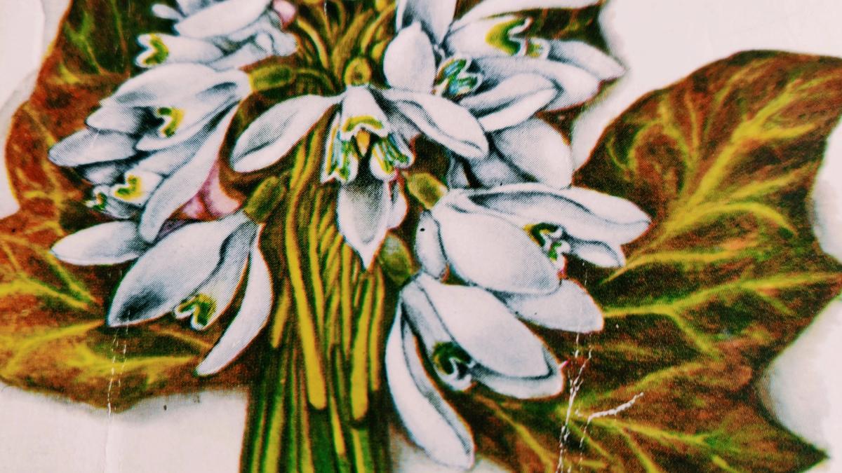 Cover detail of Emily Davis by Miss Read