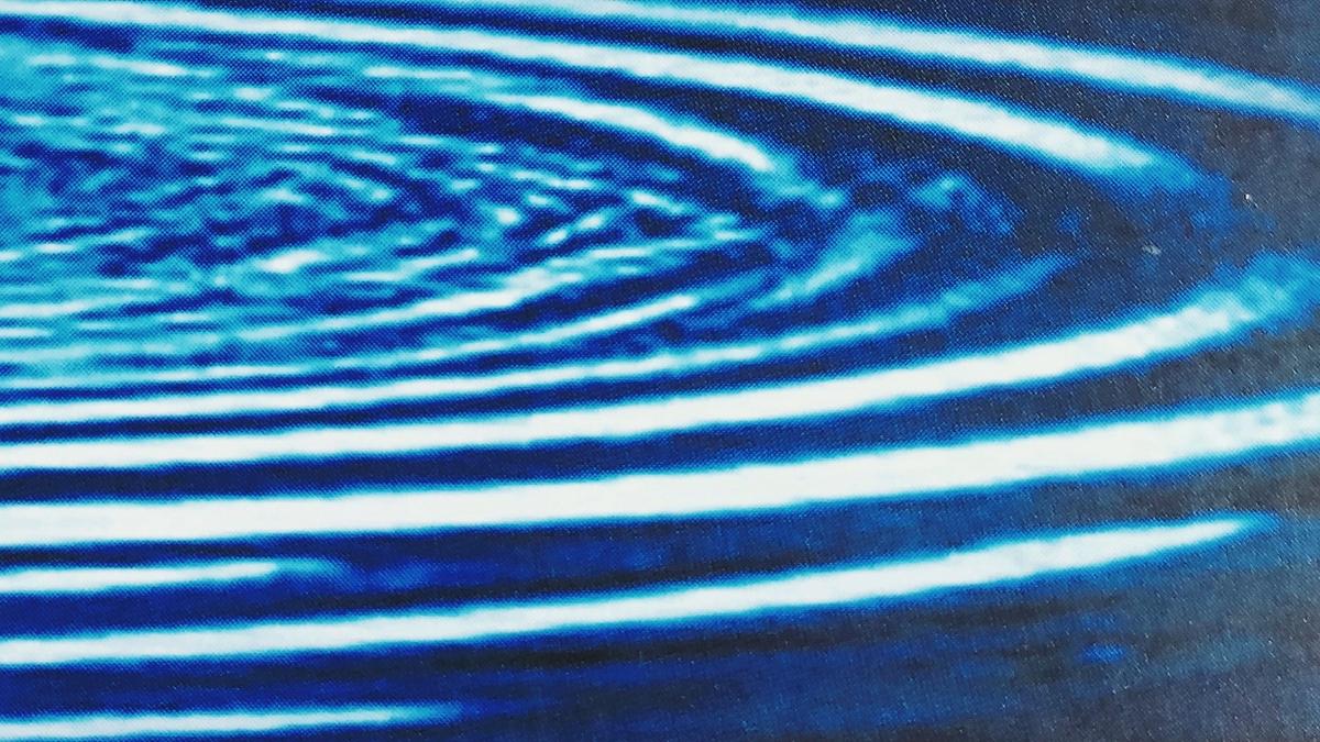 Cover Detail of Death in a Strange Country by Donna Leon