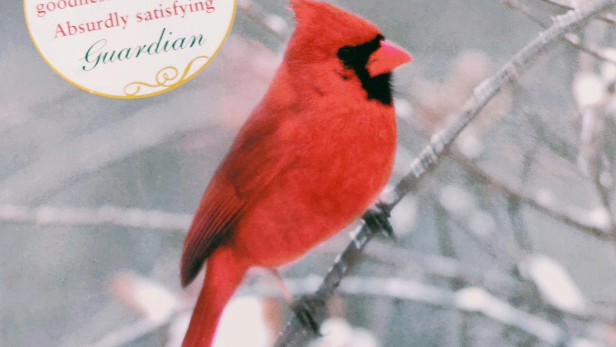 Cover Detail of A Redbird Christmas showing a Red cardinal Bird in the snow
