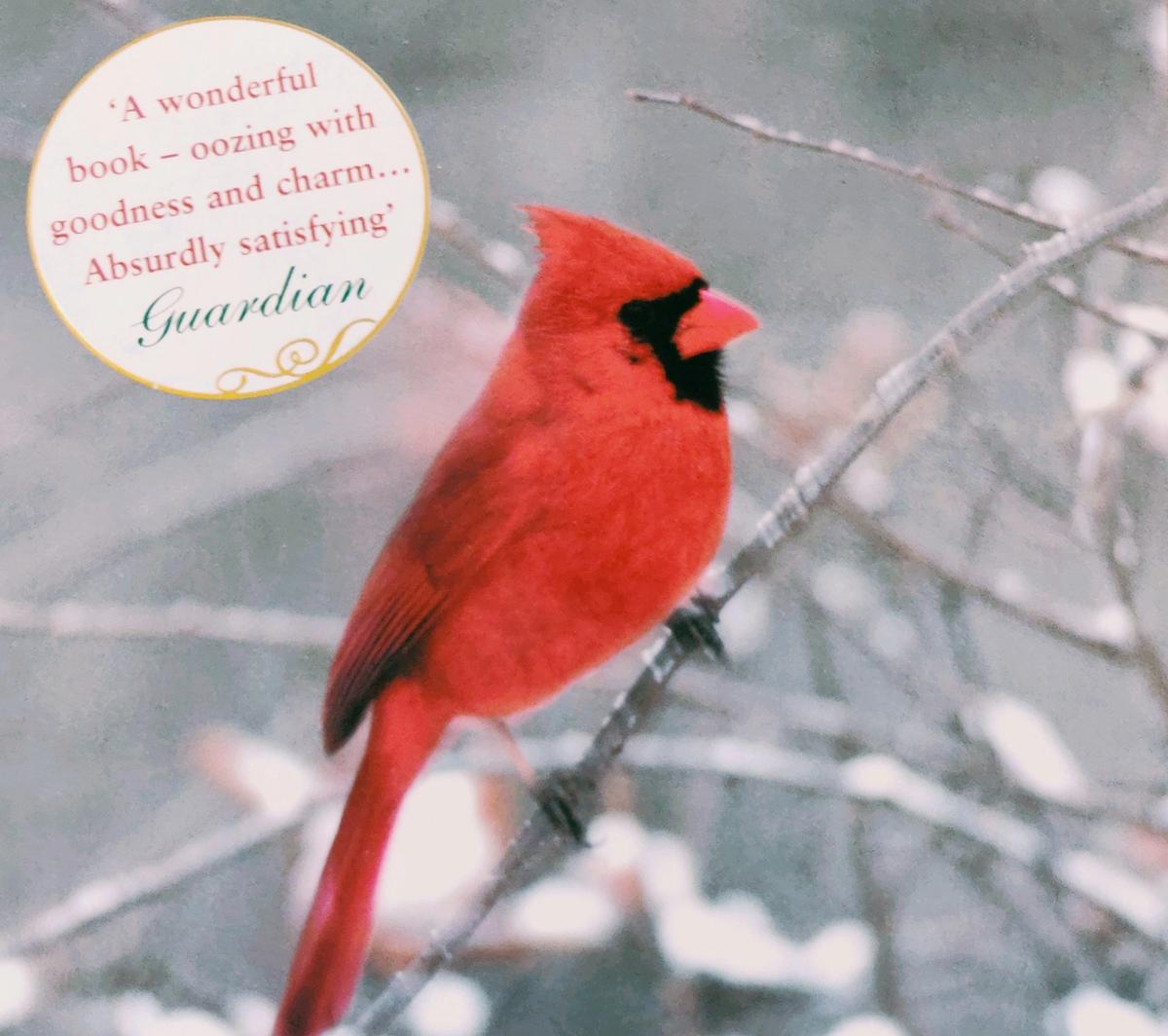 The Meaning Of Redbirds At Christmas