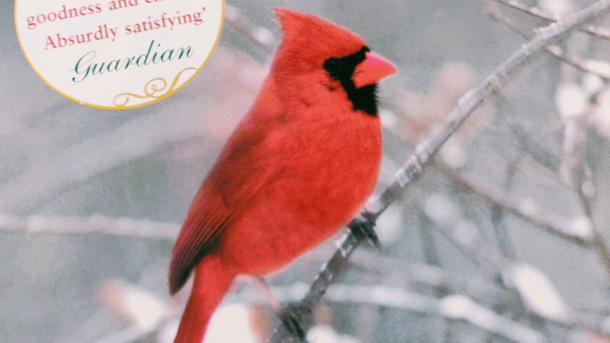 A Redbird Christmas by Fannie Flagg