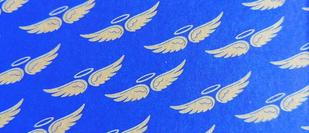 Cover detail of The Mysterious Case of the Alperton Angels