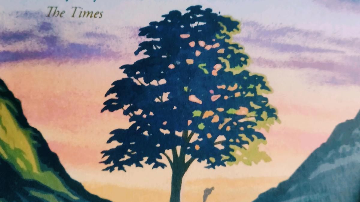 Cover detail of Sycamore Gap by L.J. Ross