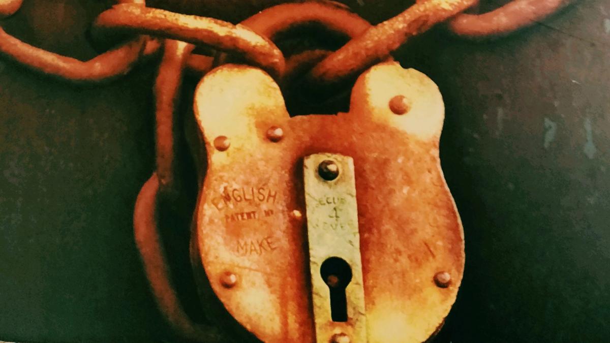 Cover detail of Indemnity Only by Sara Paretsky