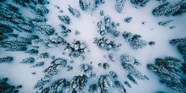 February 2021 Wrap-Up image showing drone footage of snowy trees