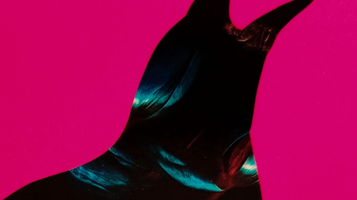 Cover detail of Weyward by Emilia Hart