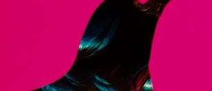 Cover detail of Weyward by Emilia Hart