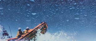 Cover detail of The Raging Storm by Ann Cleeves